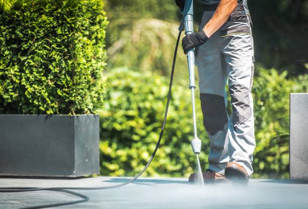 Best Dumpster Area Cleaning  in Lton, IN
